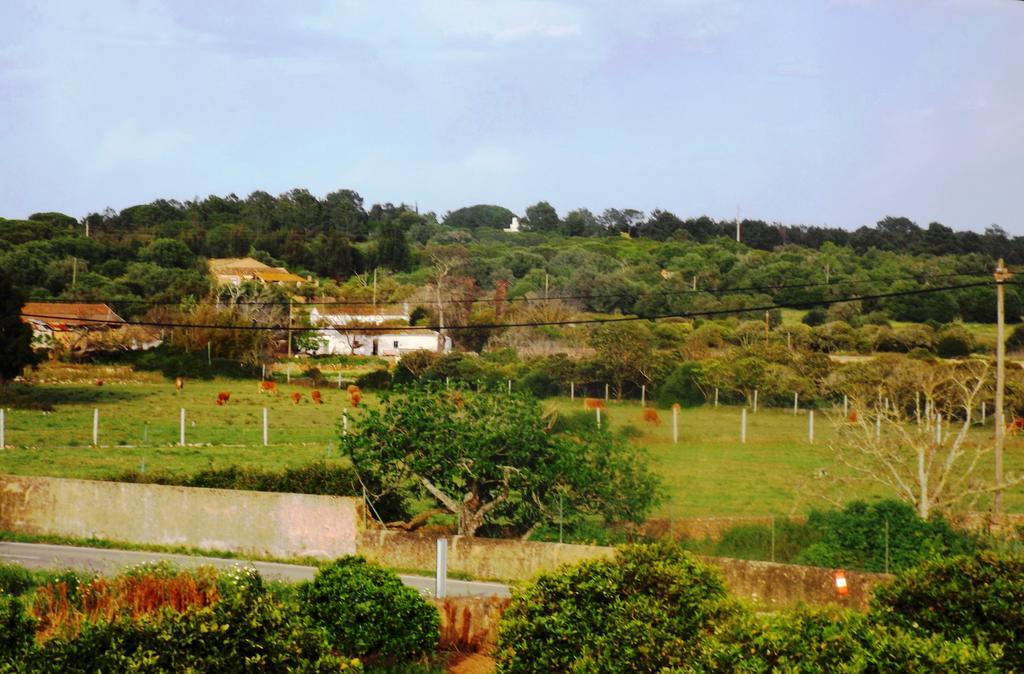 Casas Do Pomar Villa Lagos Rum bild